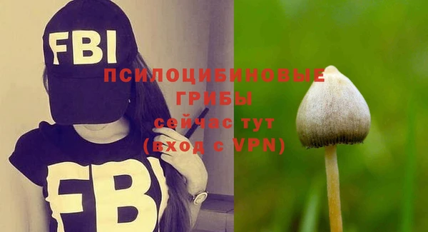 герыч Бородино