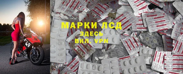шишки Михайловск