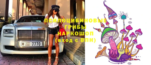 шишки Михайловск