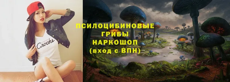 купить   Белоусово  Галлюциногенные грибы Magic Shrooms 